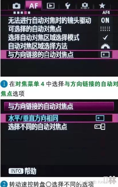 4虎tv换哪个网名了？了解4虎tv的网名变化及背后的原因与影响分析