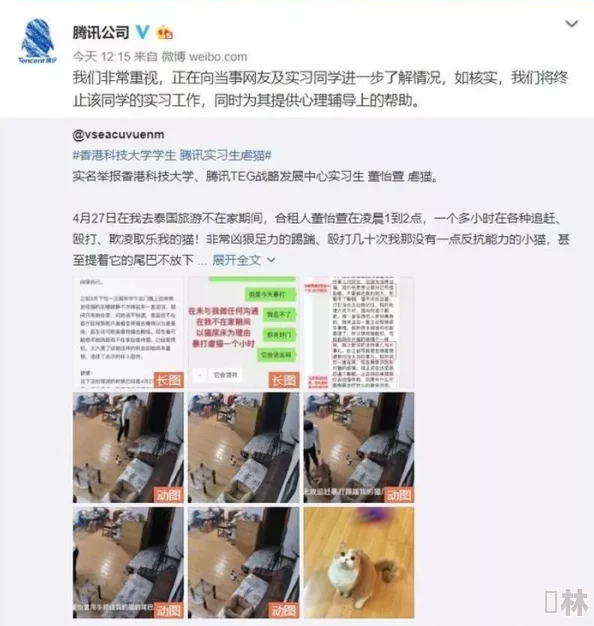 51今日吃瓜热门：盘点近期网络热议事件与社会话题，带你了解背后的故事与真相