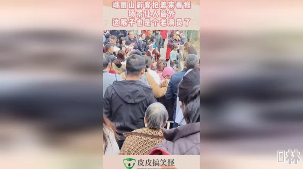 打牌生猴子的视频：看这场精彩对局如何引发意外惊喜，令人捧腹大笑的瞬间不断上演！