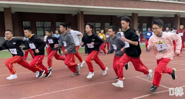 麻豆女教师：新动态曝光，校园生活与职业挑战交织的真实故事引发热议！