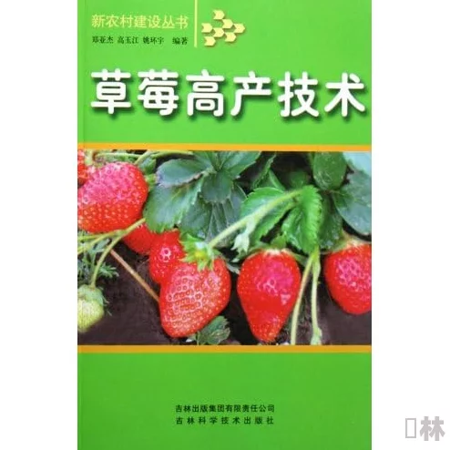 丝瓜草莓2024：新技术助力种植效率提升，市场需求持续增长，农民收入显著增加的最新动态分析