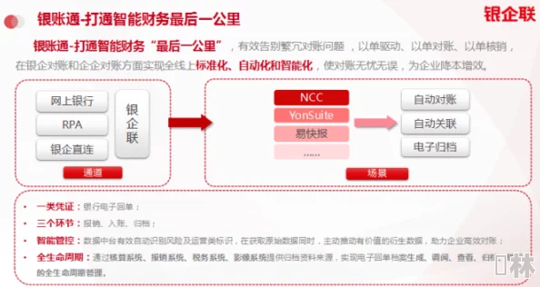 亚洲国产精品久久卡一：最新政策推动数字经济发展，助力企业转型升级与创新突破