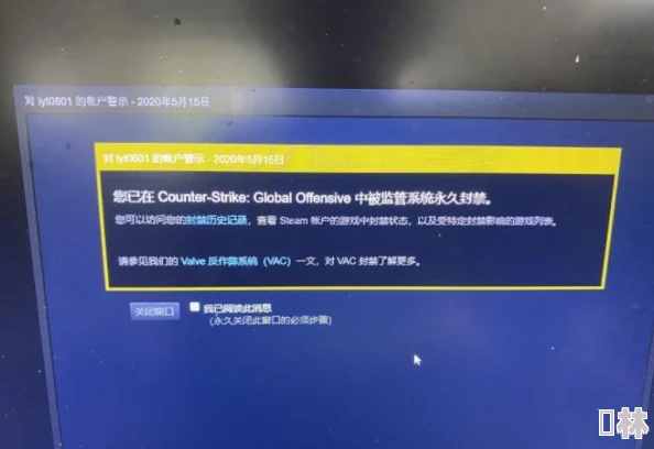 csgo高清在线观看免费版中文：知情人士透露，该网站涉嫌违规操作，或将被封禁