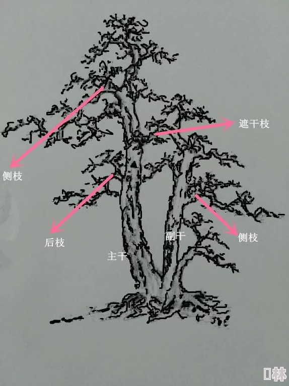 一亲二膜三叉四注：探讨生物医学领域中细胞间相互作用及其在疾病治疗中的应用研究