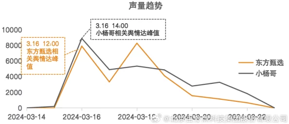 国产毛耸耸：新动态揭示其在市场上的崛起与消费者喜爱的原因分析