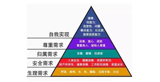 足交网站免费：最新动态与用户体验分享，带你了解更多关于足交文化的精彩内容与互动平台