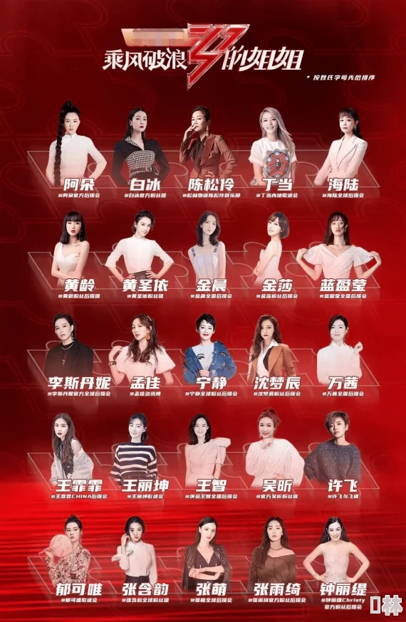 乘风破浪4在线观看画质模糊加载慢广告多更新延迟体验差